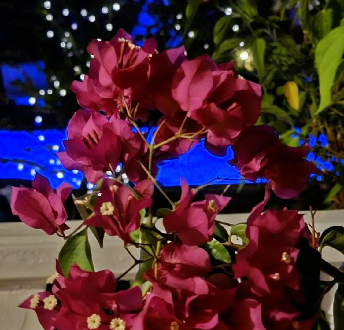 Villa Bade Dalyan Turkey