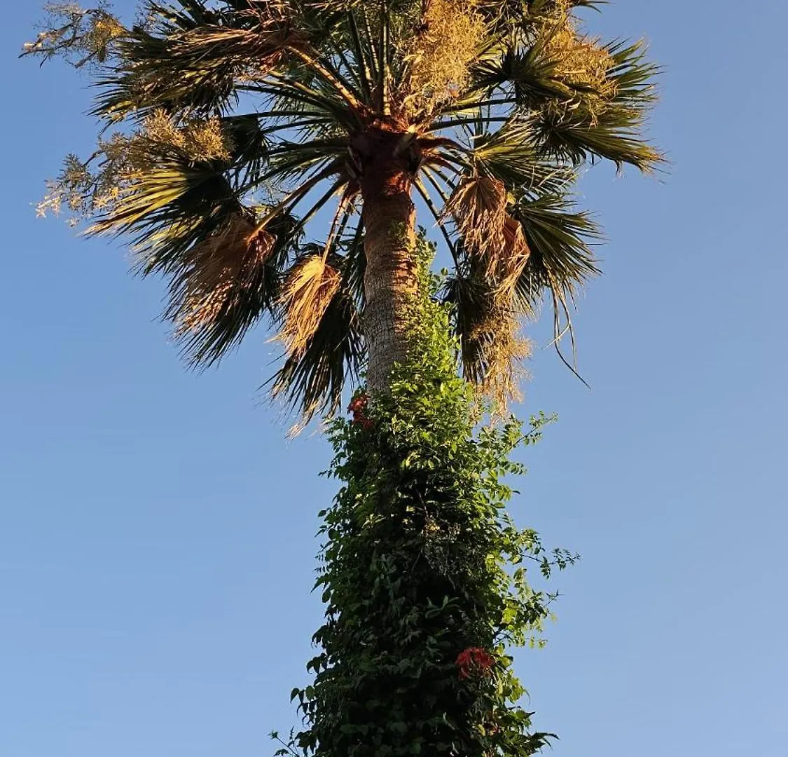 Villa Bade Dalyan