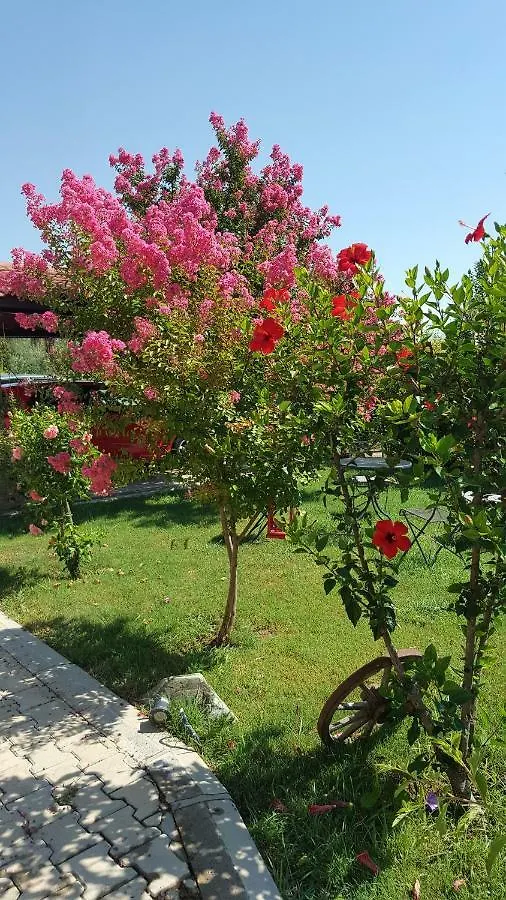 Villa Bade Dalyan Turecko