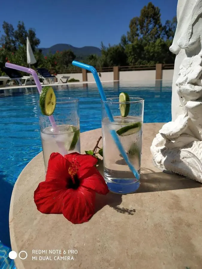 Villa Bade Dalyan 0*,  Turkey